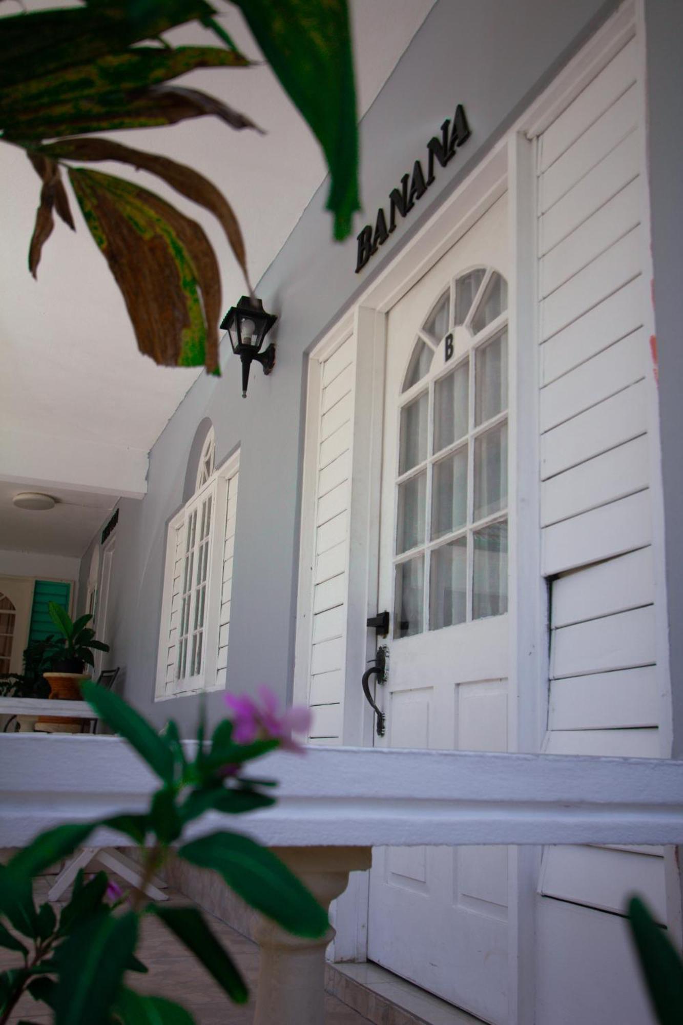 Match Resort Port Antonio Exterior photo