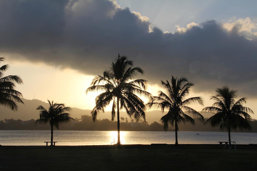Match Resort Port Antonio Exterior photo